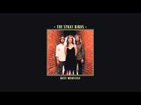 Thumbnail for the The Stray Birds - "Simple Man" link, provided by host site