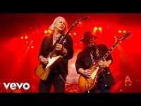 Thumbnail for the Lynyrd Skynyrd - Simple Man - Live At The Florida Theatre / 2015 link, provided by host site