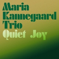 Thumbnail for the Maria Kannegaard Trio - Simply link, provided by host site