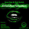 Thumbnail for the Sean Ray - Simulation Sensation link, provided by host site