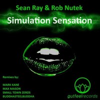 Thumbnail for the Sean Ray - Simulation Sensation link, provided by host site