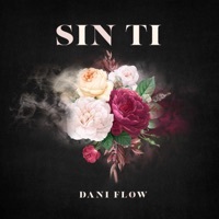 Thumbnail for the Dani Flow - Sin Ti link, provided by host site