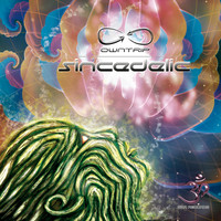 Thumbnail for the Owntrip - Sincedelic link, provided by host site