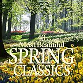 Thumbnail for the Ari Rasilainen - Sinding / Arr Sitt : Rustle of Spring [Frühlingsrauschen] link, provided by host site