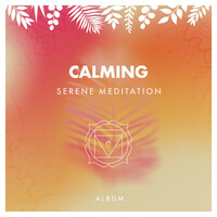 Image of Yoga Workout Music linking to their artist page due to link from them being at the top of the main table on this page