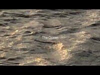 Thumbnail for the Lontalius - The Ocean link, provided by host site