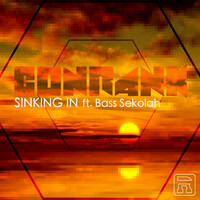 Thumbnail for the Conrank - Sinking In link, provided by host site