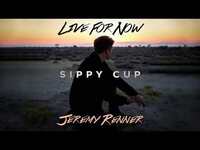 Thumbnail for the Jeremy Renner - "Sippy Cup" link, provided by host site