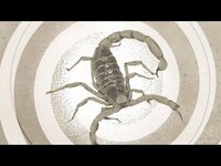 Thumbnail for the Jerry Cantrell - Siren Song (Official Visualizer) link, provided by host site