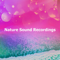 Thumbnail for the Nature Sounds Artists - Site Regrettable link, provided by host site