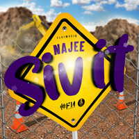 Thumbnail for the Najee - Siv It link, provided by host site