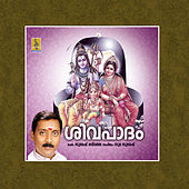 Thumbnail for the Sindhu Premkumar - Sivarathri Divasathe link, provided by host site