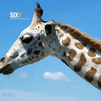 Thumbnail for the Frederick Alonso - Six9 link, provided by host site