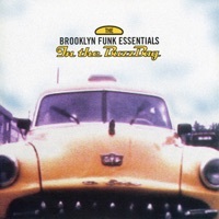 Thumbnail for the Brooklyn Funk Essentials - Ska Ka-Bop link, provided by host site