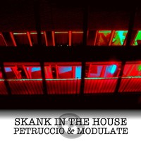 Thumbnail for the Petruccio - Skank In The House link, provided by host site