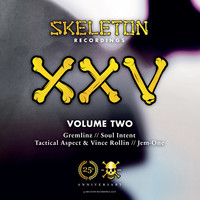 Thumbnail for the Gremlinz - Skeleton XXV Project Volume Two link, provided by host site