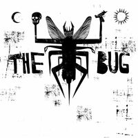 Thumbnail for the The Bug - Skeng (Autechre Dub) link, provided by host site
