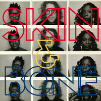 Thumbnail for the Phil Cook - Skin and Bone link, provided by host site