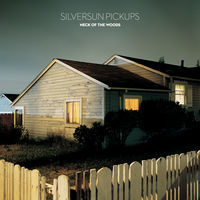 Thumbnail for the Silversun Pickups - Skin Graph link, provided by host site