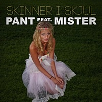Thumbnail for the Pant - Skinner i skjul - Single link, provided by host site