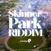 Thumbnail for the Precision Productions - Skinner Park Riddim (Soca 2020 Trinidad and Tobago Carnival) link, provided by host site