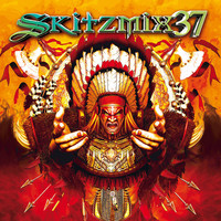 Thumbnail for the Nick Skitz - Skitzmix 37 link, provided by host site