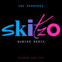 Thumbnail for the Joe Bermudez - Skitzo (Remixes 2020) link, provided by host site