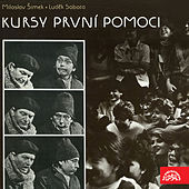 Thumbnail for the Miroslav Paleček - Sklenice vína link, provided by host site