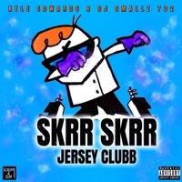 Thumbnail for the Kyle Edwards - Skrr Skrr (Jersey Club) link, provided by host site