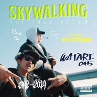 Thumbnail for the watari - Sky Walking link, provided by host site