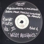 Thumbnail for the Skye - Skye Files Volume III link, provided by host site