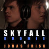 Thumbnail for the Roomie - Skyfall link, provided by host site