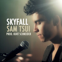 Thumbnail for the Kurt Hugo Schneider - Skyfall link, provided by host site