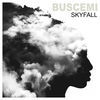 Thumbnail for the Buscemi - Skyfall link, provided by host site