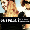 Thumbnail for the Sven Dorau - Skyfall (Acoustic Cover) link, provided by host site