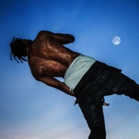 Thumbnail for the Travis Scott - Skyfall link, provided by host site