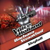Thumbnail for the Barbara Straathof - Skyfall (From The Voice of Holland) link, provided by host site