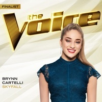 Thumbnail for the Brynn Cartelli - Skyfall (The Voice Performance) link, provided by host site