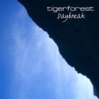 Thumbnail for the Tigerforest - Skylines link, provided by host site