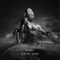 Image of Digital Ethos linking to their artist page due to link from them being at the top of the main table on this page