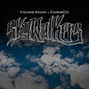 Thumbnail for the Chris'co - Skywalkers link, provided by host site