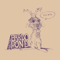 Thumbnail for the Bardo Pond - Slab link, provided by host site