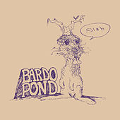 Image of Bardo Pond linking to their artist page due to link from them being at the top of the main table on this page