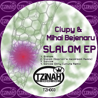 Thumbnail for the Ciupy - Slalom link, provided by host site