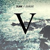Image of Dualive linking to their artist page due to link from them being at the top of the main table on this page