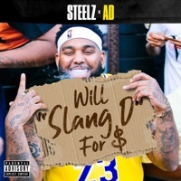 Thumbnail for the Steelz - Slang D link, provided by host site