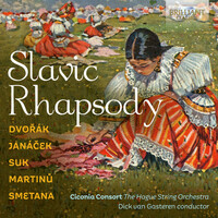 Thumbnail for the Antonín Dvořák - Slavic Rhapsody link, provided by host site