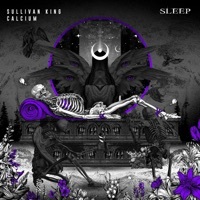 Thumbnail for the Sullivan King - Sleep link, provided by host site