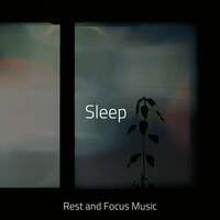 Thumbnail for the Nature Sounds Nature Music - Sleep link, provided by host site