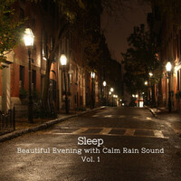 Thumbnail for the Relaxing Spa Music - Sleep: Beautiful Evening with Calm Rain Sound Vol. 1 link, provided by host site